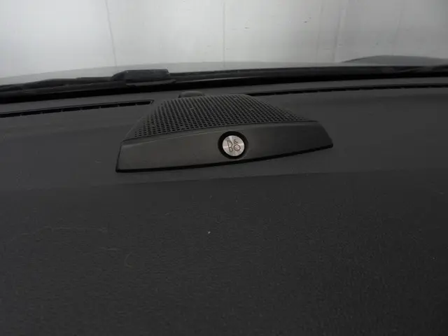 Ford Puma 1.0 EcoBoost Titanium X 2022 Benzine 12