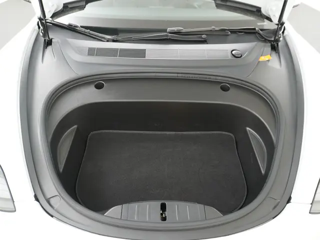 Tesla Model 3 Standard RWD Plus 60 kWh 2021 Elektrisch 16