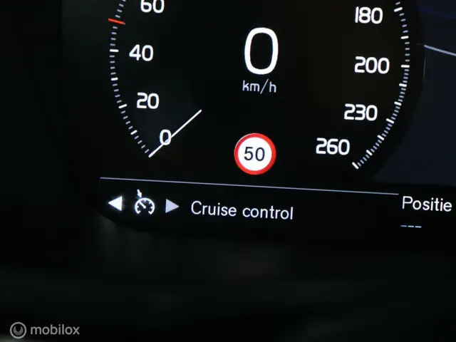 Volvo V60 2.0 T4 Inscription 2019 LPG/Gas 27