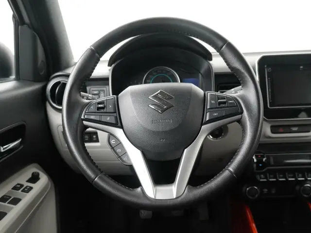 Suzuki Ignis 1.2 Smart Hybrid Stijl 2019 Benzine 11
