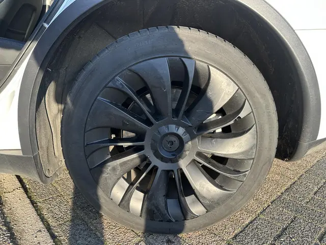 Tesla Model Y Long Range AWD 75 kWh 2023 Elektrisch 16