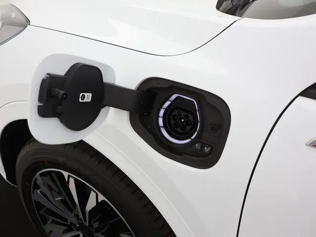 Ford Kuga 2.5 PHEV 225PK ST-Line X 2021 Hybride Benzine 43