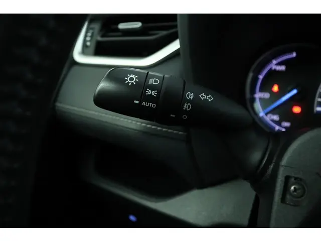 Toyota RAV4 2.5 Hybrid AWD Active 2020 Hybride Benzine 30