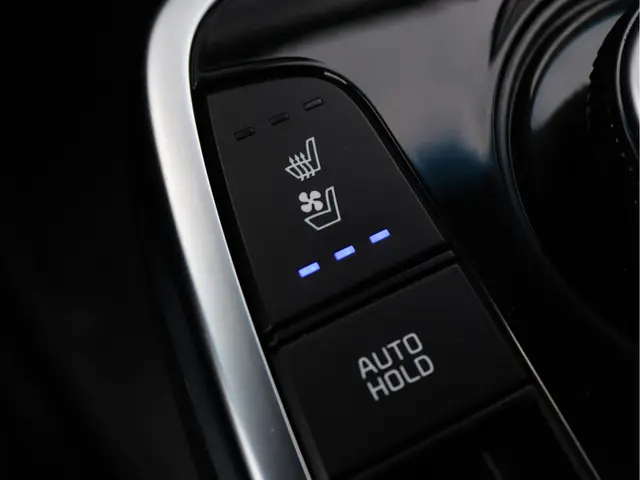 Kia e-Niro ExecutiveLine 64 kWh 2019 Elektrisch 53