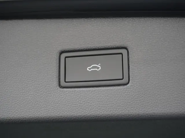 Volkswagen Tiguan 1.5 TSI R-Line Business 2024 Benzine 12