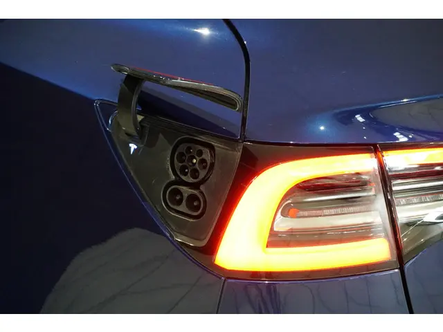 Tesla Model 3 Standard RWD Plus 60 kWh 2020 Elektrisch 37