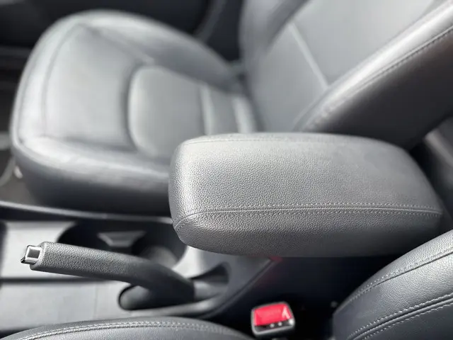 Kia Rio 1.2 CVVT World Cup Edition 2014 Benzine 41