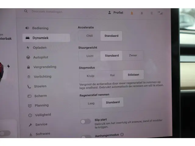 Tesla Model 3 Long Range AWD 75 kWh 2019 Elektrisch 32
