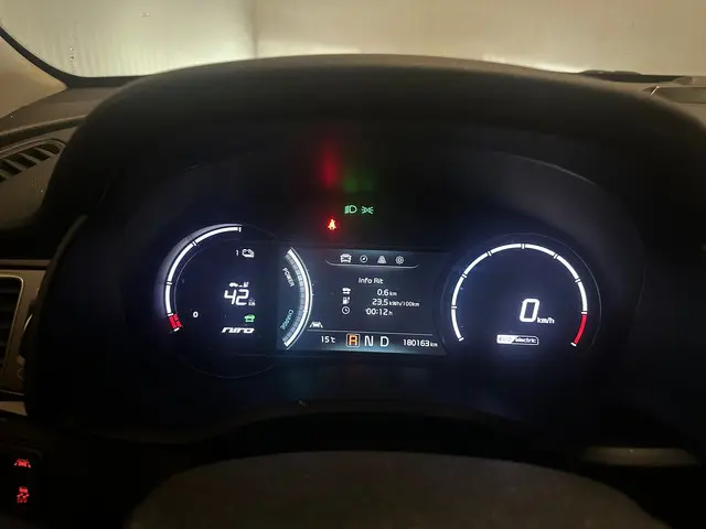 Kia e-Niro ExecutiveLine 64 kWh 2020 Elektrisch 11
