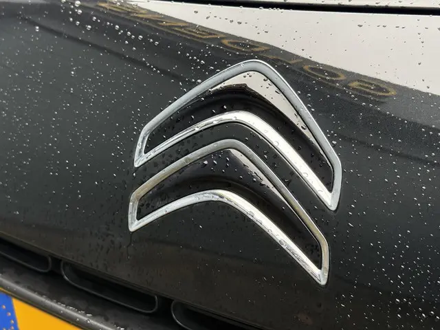 Citroën C4 Cactus 1.2 e-VTi Shine 2015 Benzine 30