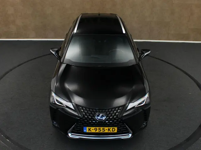 Lexus UX 300e Business 54 kWh 2020 Elektrisch 15