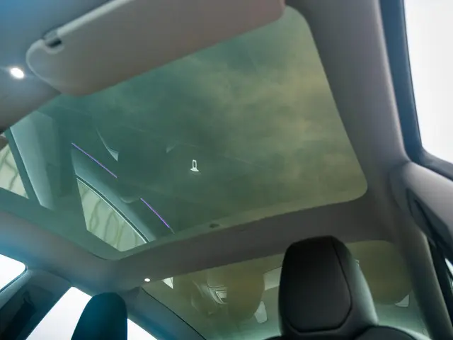 Tesla Model 3 RWD 60 kWh 2024 Elektrisch 56