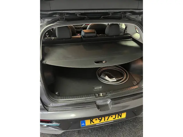 Kia e-Niro DynamicLine 64 kWh 2020 Elektrisch 7