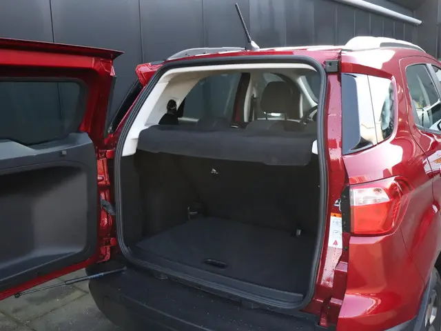 Ford EcoSport 1.0 EcoBoost Trend Ultimate 2019 Benzine 13