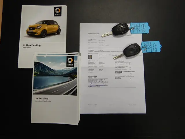 Smart Forfour 1.0 Pure Comfort Pakket 2017 Benzine 19
