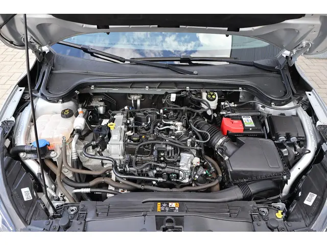 Ford Focus Wagon 1.0 Business 2021 Benzine 17