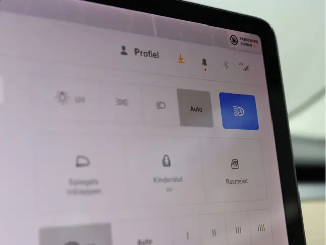 Tesla Model 3 Standard RWD Plus 60 kWh 2019 Elektrisch 35
