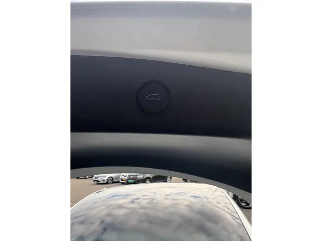 Tesla Model 3 Standard RWD Plus 60 kWh 2023 Elektrisch 24