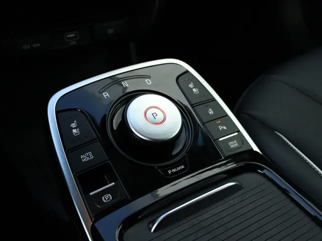 Kia e-Niro ExecutiveLine 64 kWh 2019 Elektrisch 12