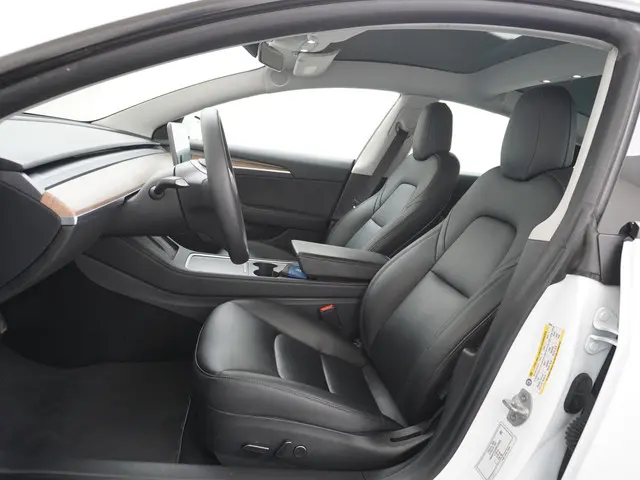 Tesla Model 3 Standard RWD Plus 60 kWh 2021 Elektrisch 19