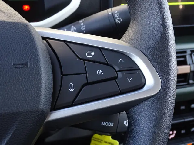 Dacia Spring Extreme 100 24.3 kWh 2026 Elektrisch 25