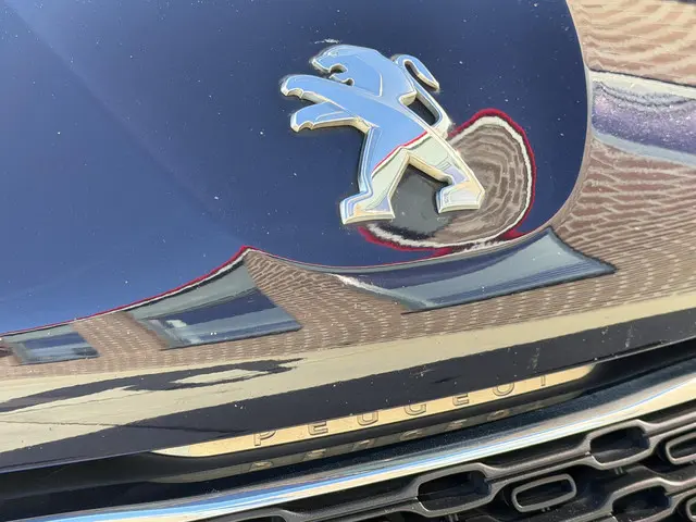 Peugeot 208 1.2 PureTech Blue Lease 2015 Benzine 29