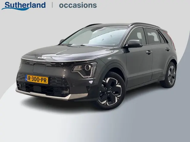 Kia Niro EV DynamicLine 64.8 kWh 2022 Elektrisch