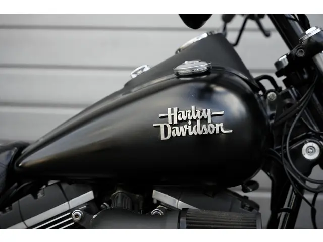 Harley-Davidson Street Bob 96 FXDB Dyna 2013 Benzine 7