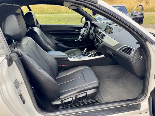 BMW 2 Serie Cabrio 220i Executive 2017 Benzine 33