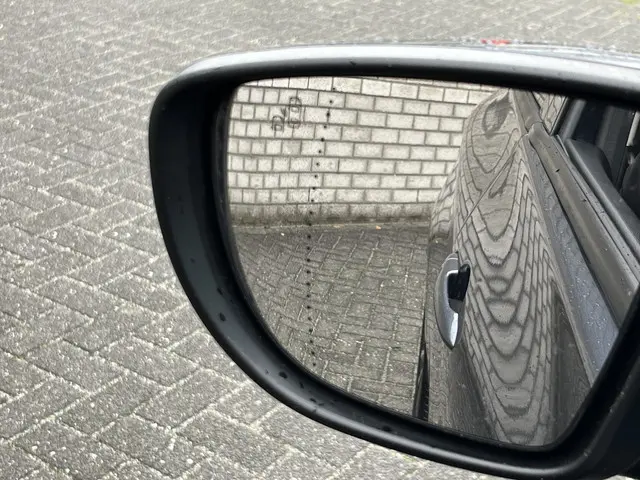 Renault ZOE R135 Intens 52 kWh 2020 Elektrisch 14