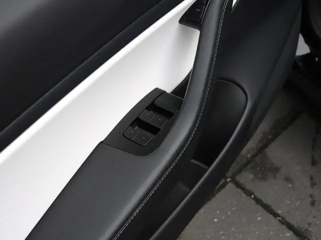 Tesla Model 3 Performance AWD 75 kWh 2019 Elektrisch 23