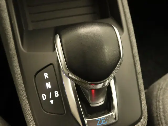 Renault ZOE R110 Life 52 kWh 2020 Elektrisch 30