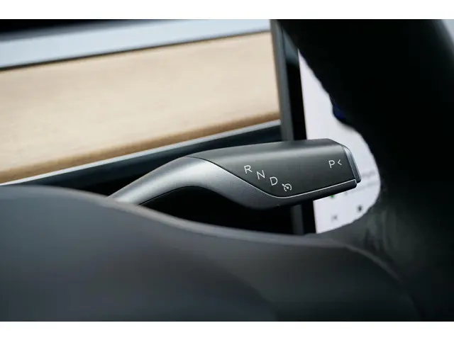 Tesla Model 3 Standard RWD Plus 60 kWh 2020 Elektrisch 22