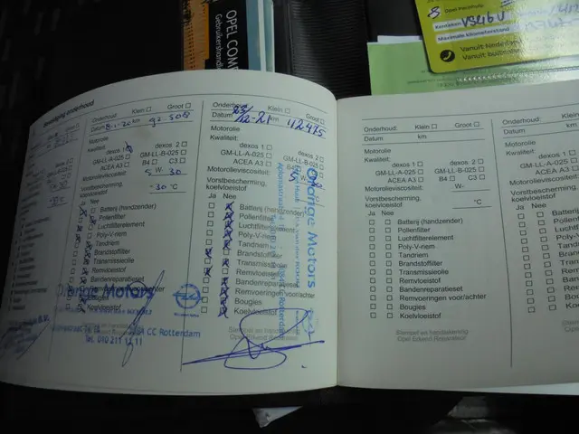 Opel Combo 1.3 CDTi L1H1 ecoFLEX 2016 Diesel 19