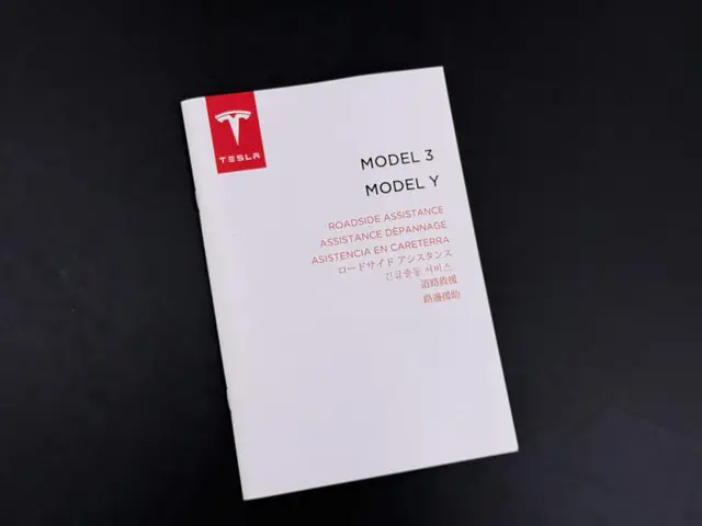 Tesla Model Y Long Range AWD 75 kWh 2022 Elektrisch 44