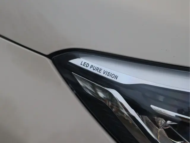 Renault Captur 1.3 TCe Intens Automaat 2019 Benzine 30