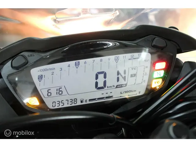 Suzuki GSX GSX-S1000 2021 Benzine 9