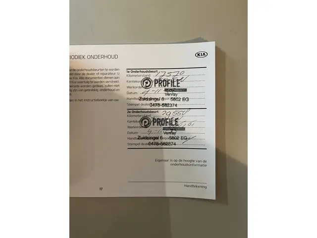 Kia e-Niro ExecutiveLine 64 kWh 2020 Elektrisch 44