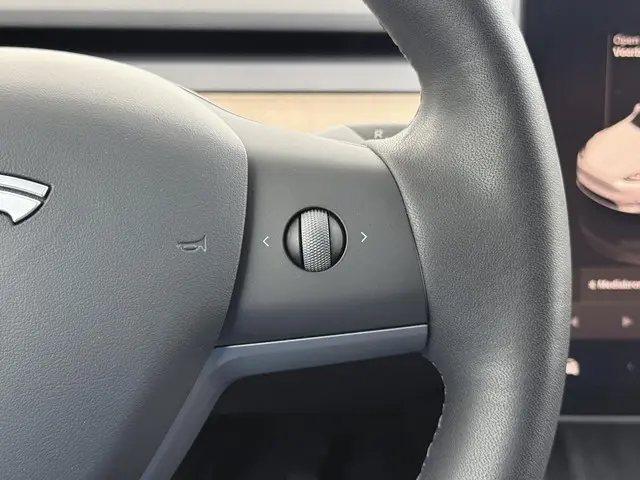 Tesla Model Y Long Range AWD 75 kWh 2022 Elektrisch 27