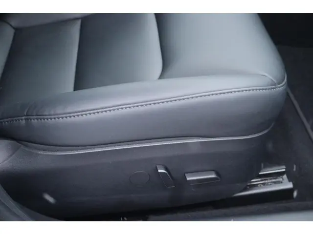 Tesla Model 3 Long Range AWD 75 kWh 2021 Elektrisch 14