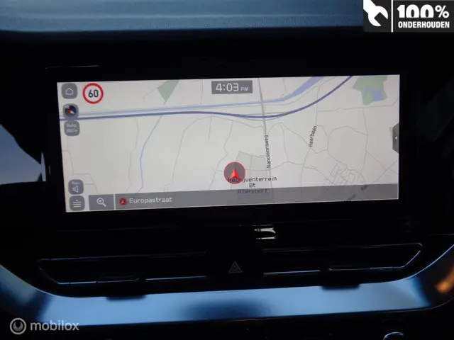 Kia e-Niro ExecutiveLine 64 kWh 2020 Elektrisch 13