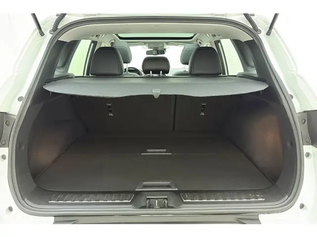 Renault Kadjar 1.3 TCe Intens 2020 Benzine 13