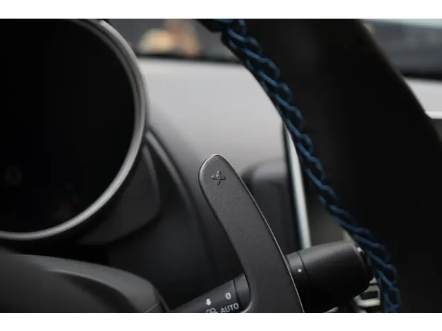 Alpine A110 1.8 Turbo 2025 Benzine 33