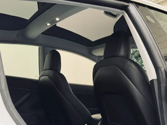Tesla Model 3 Performance AWD 75 kWh 2019 Elektrisch 33