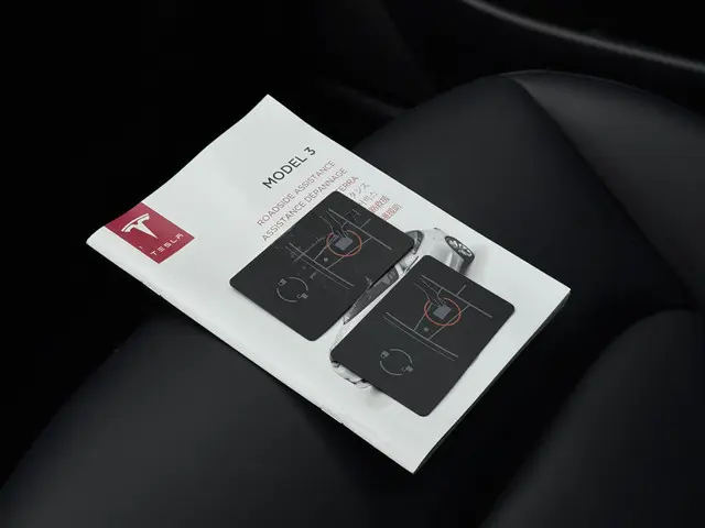 Tesla Model 3 Range Plus 2020 Elektrisch 24