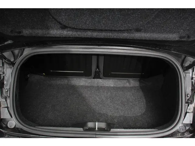 Fiat 500C 1.2 Lounge Automaat 2019 Benzine 16