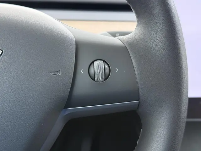 Tesla Model Y Long Range AWD 75 kWh 2022 Elektrisch 32