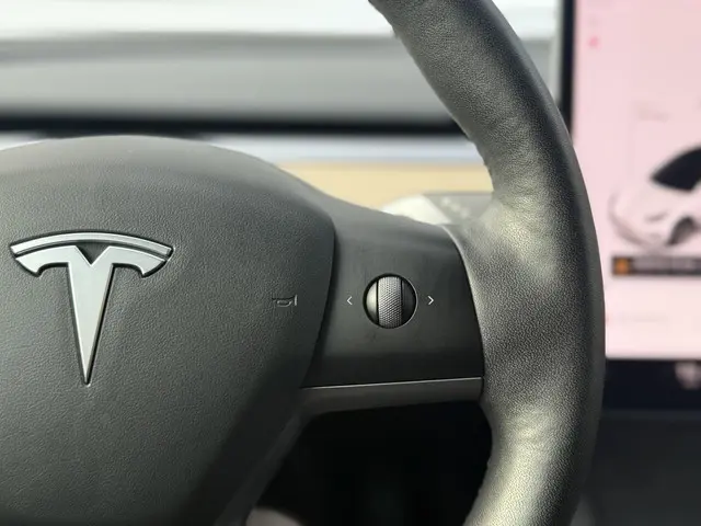Tesla Model 3 Long Range AWD 75 kWh 2021 Elektrisch 20