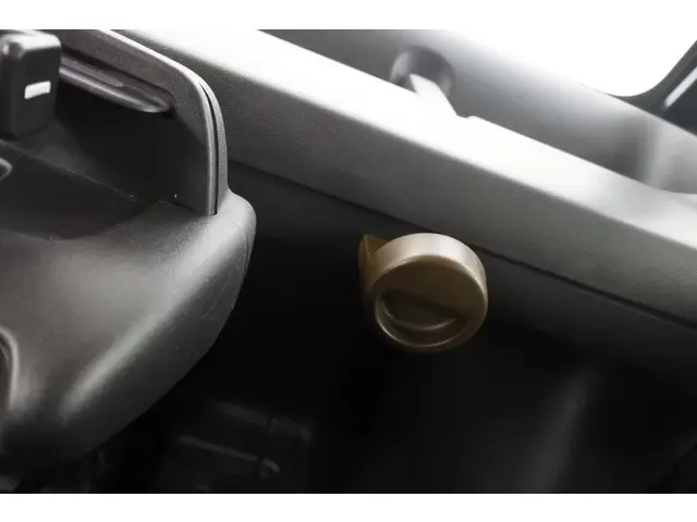 Citroën Ami Pack VDA Custom 16" 2021 Elektrisch 22