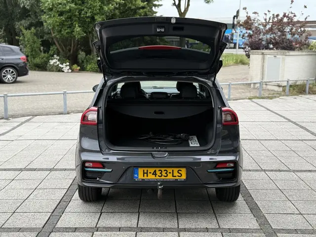Kia e-Niro ExecutiveLine 64 kWh 2020 Elektrisch 17